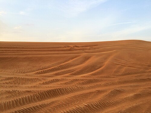 Arabian Desert